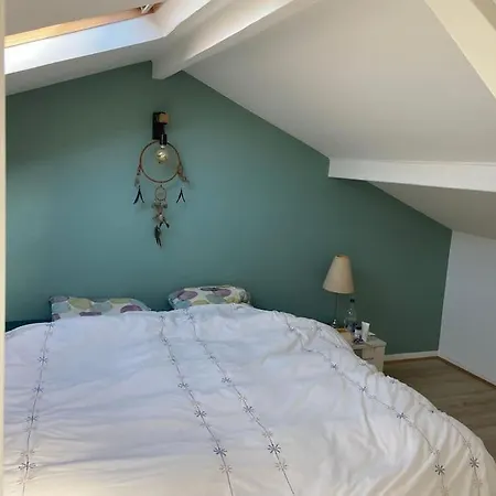 Superbe En Duplex Lumineux A Apartment *